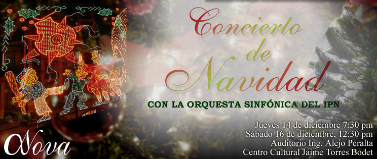 Concierto de Navidad (2006)